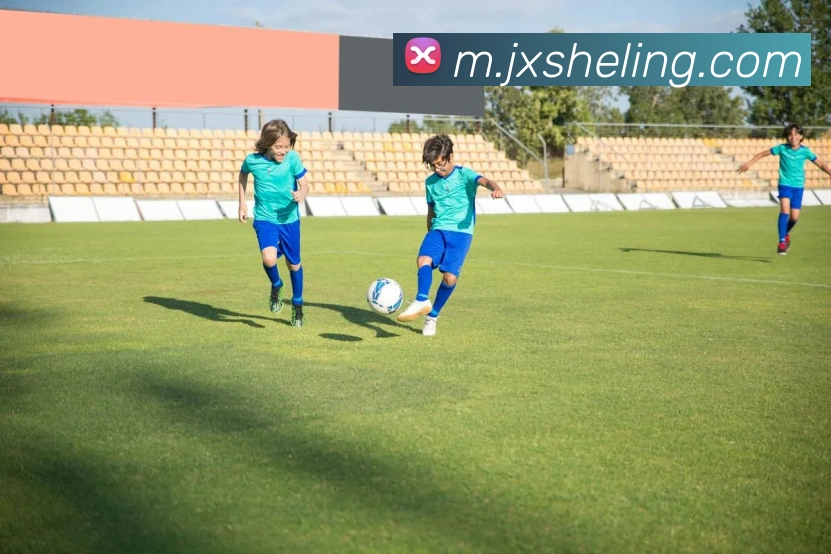 数据防护可视化